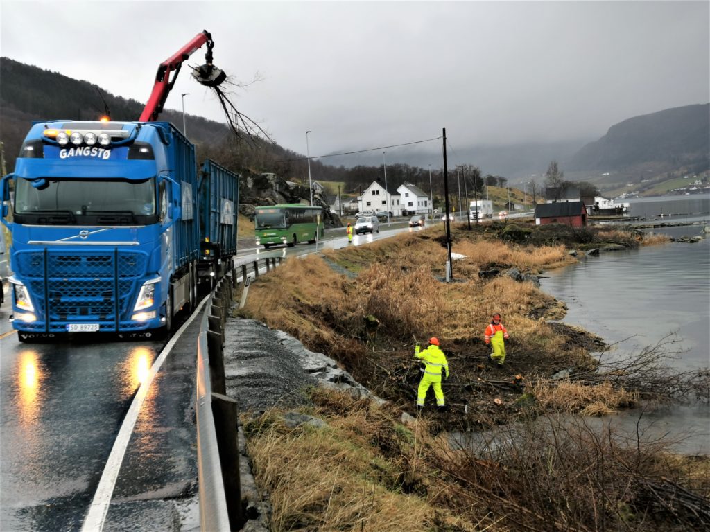 Fjerning av tre og greiner