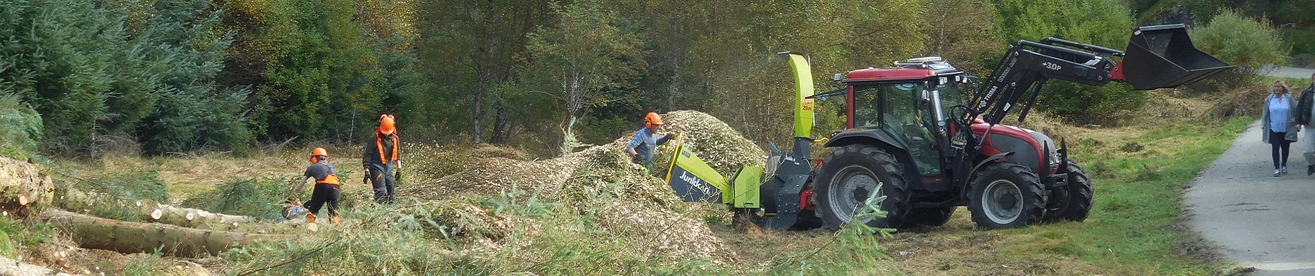 Land clearing, fencing