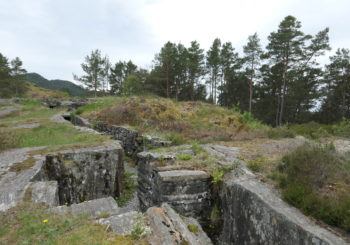 Første halvår 2019: utsiktsrydding, Kubbervik, Tittelsnes Fort